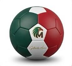 Balón Premium